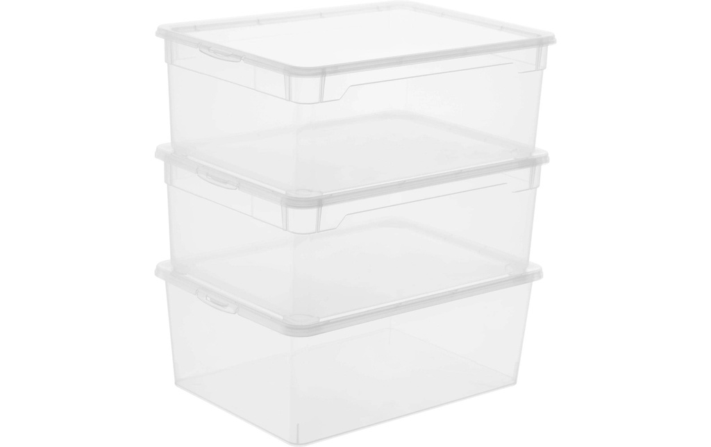 Rotho Boîte de rangement Men Shoe Transparent, 3 pcs.