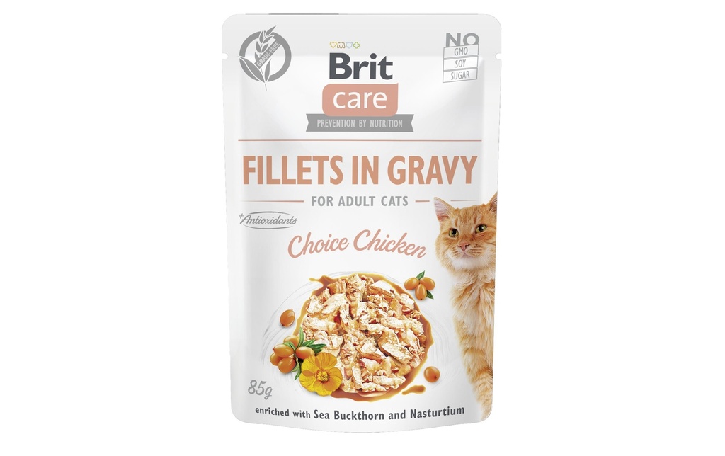 Brit Alimentation humide Care Fillets Sauce Poulet, 85 g
