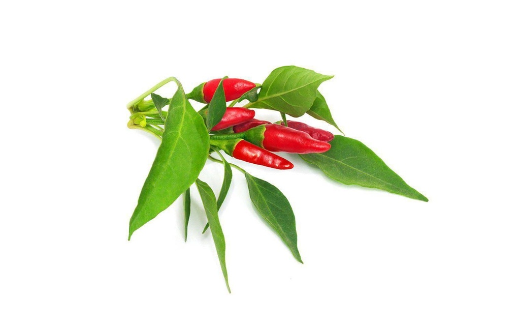 Click and Grow Semence Piri Piri Piri Chili