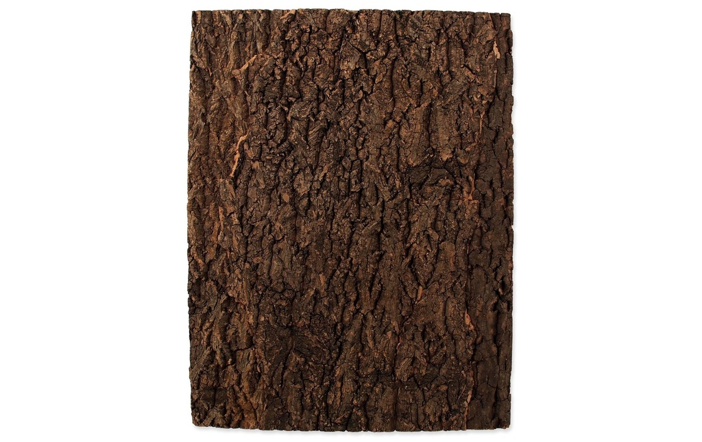 Repti Planet Paroi arrière en liège 43.5 x 56 x 2 cm