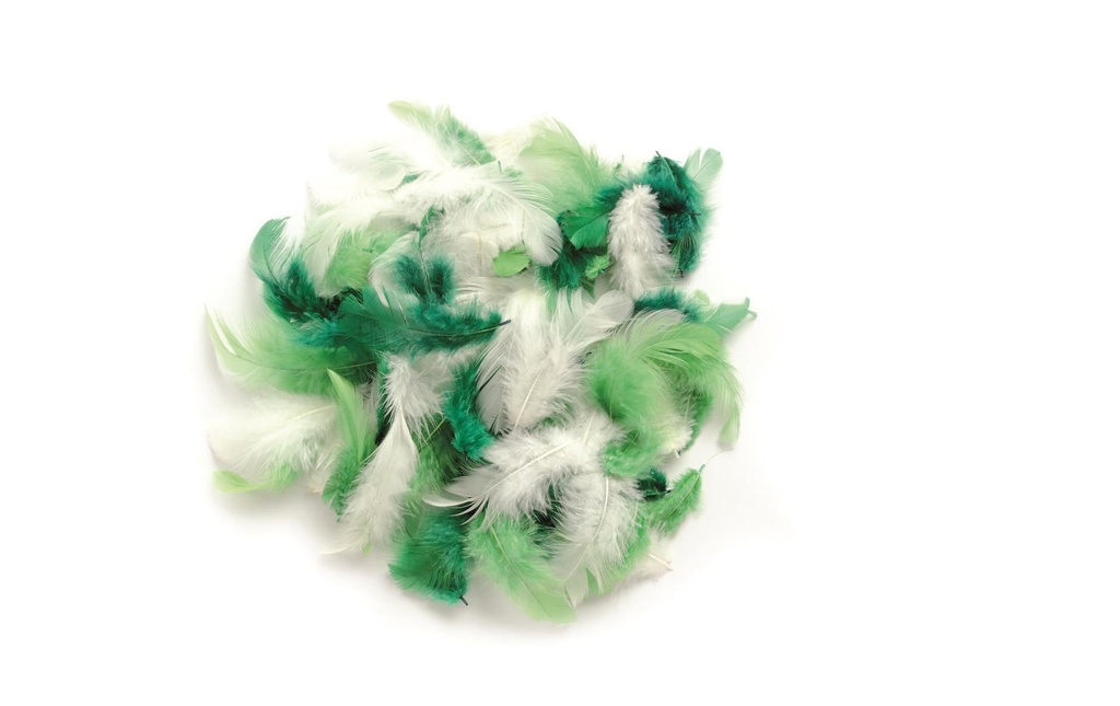 Glorex Plumes Deco Vert