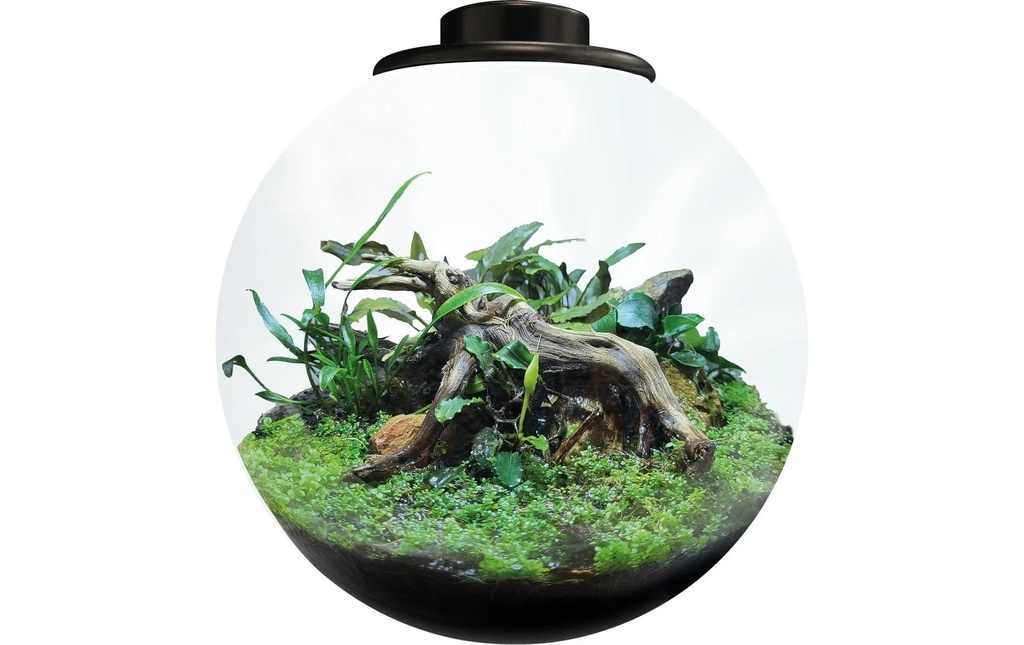 Bio Art Pot de plantes Bol 225 Noir
