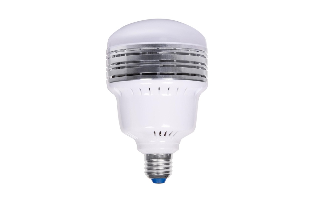 Dörr Ampoule de rechange 25 Watt E27 pour DL400