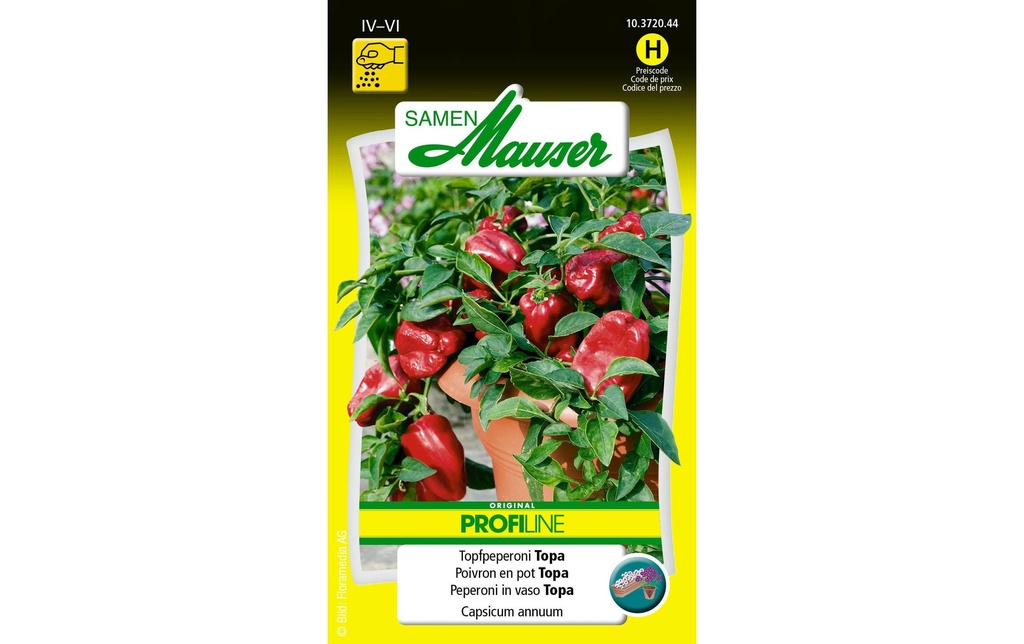Samen Mauser Semence Profiline Urban Gardening Pepperoni Topa