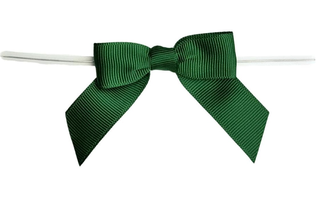 BackshopSchweiz Fermeture avec boucle Vert, 10 pièces