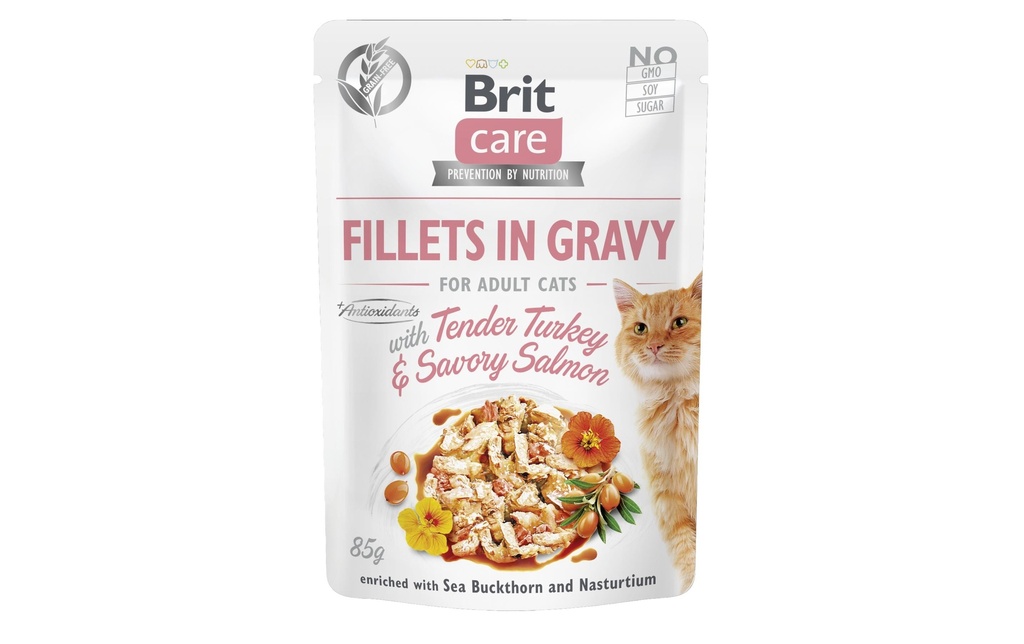 Brit Alimentation humide Care Fillets Sauce Dinde & Saumon, 85 g