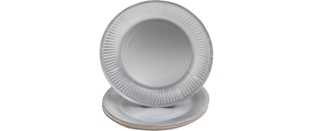 PRO nappe Assiettes jetables Argent métal 10 Pièce/s