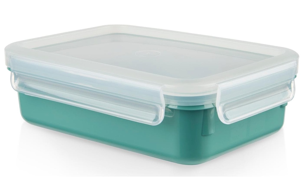 Emsa Récipients à provisions Clip & Close 0.8 l, Vert