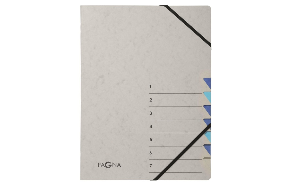 Pagna Classeur à compartiments A4 Easy Grey Gris ; bleu, 7 compartiments