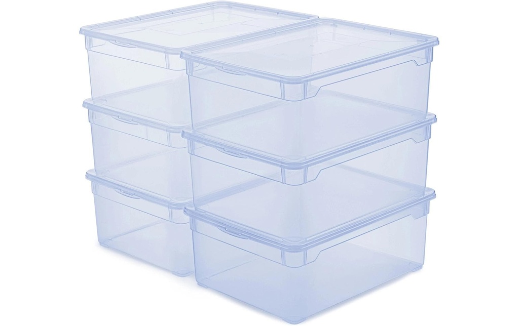Rotho Boîte de rangement Clearbox 10 l, 6 pièces