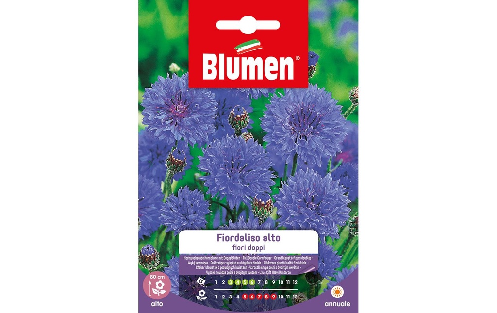 Blumen Semence Bleuet double haut