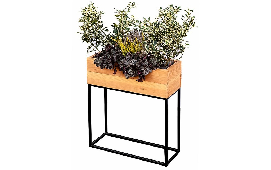 Innovesta Bac à fleurs avec support 60 x 20x 70 cm