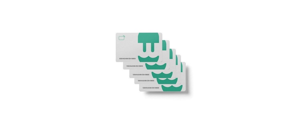 Wallbox Carte RFID 25 pièces