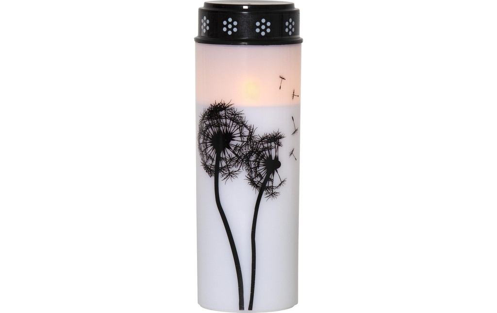 Star Trading Bougie funéraire LED Pissenlit, Ø 7 x 21 cm, Blanc