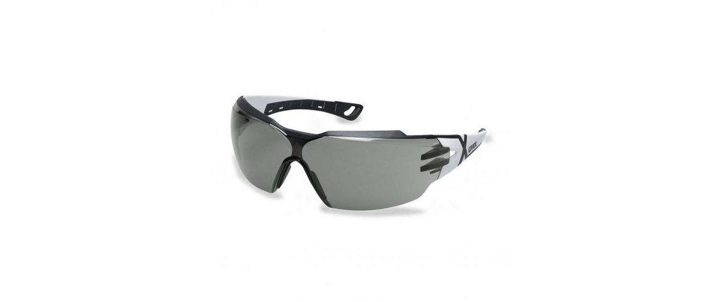 uvex Lunettes de protection Pheos cx2, Gris