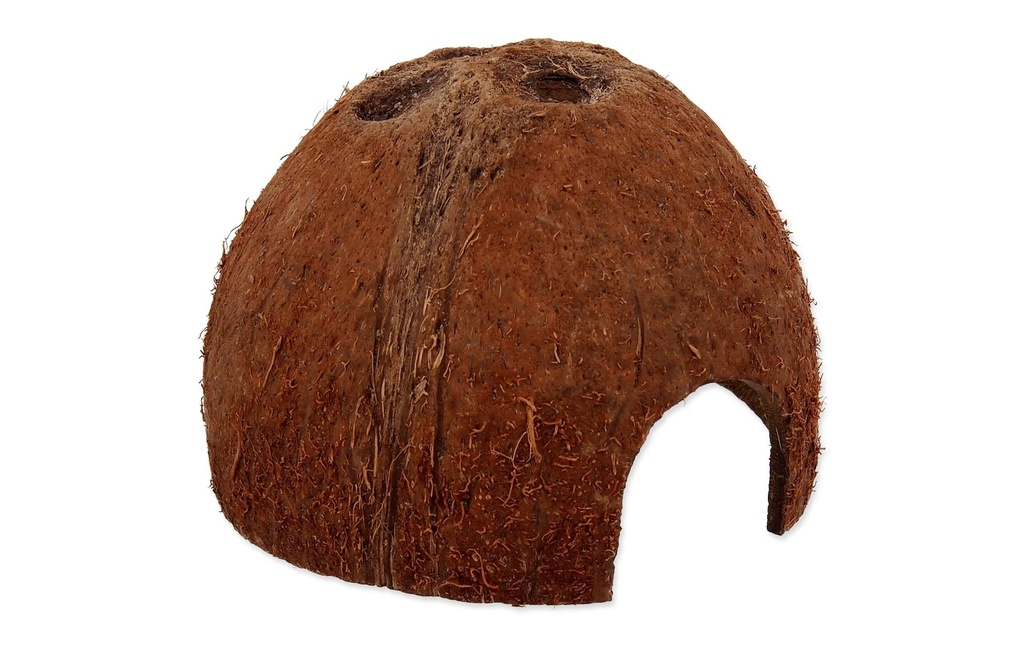 Repti Planet Coco Coupe S