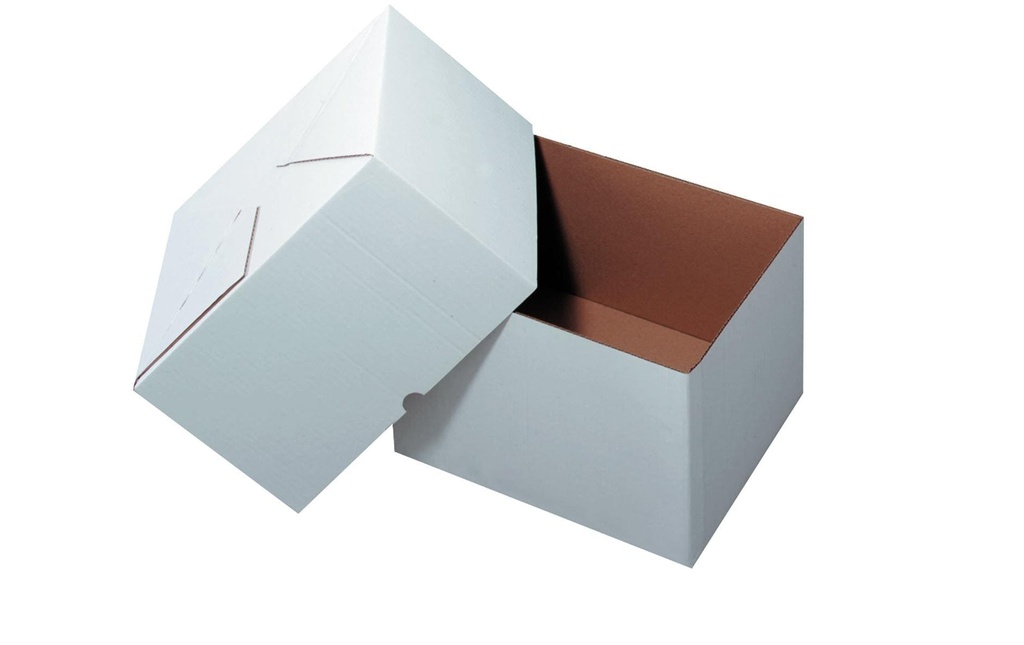 Antalis Carton d’expédition 30.5 x 22 x 20 cm 2 pièces, 25 pièces, Blanc