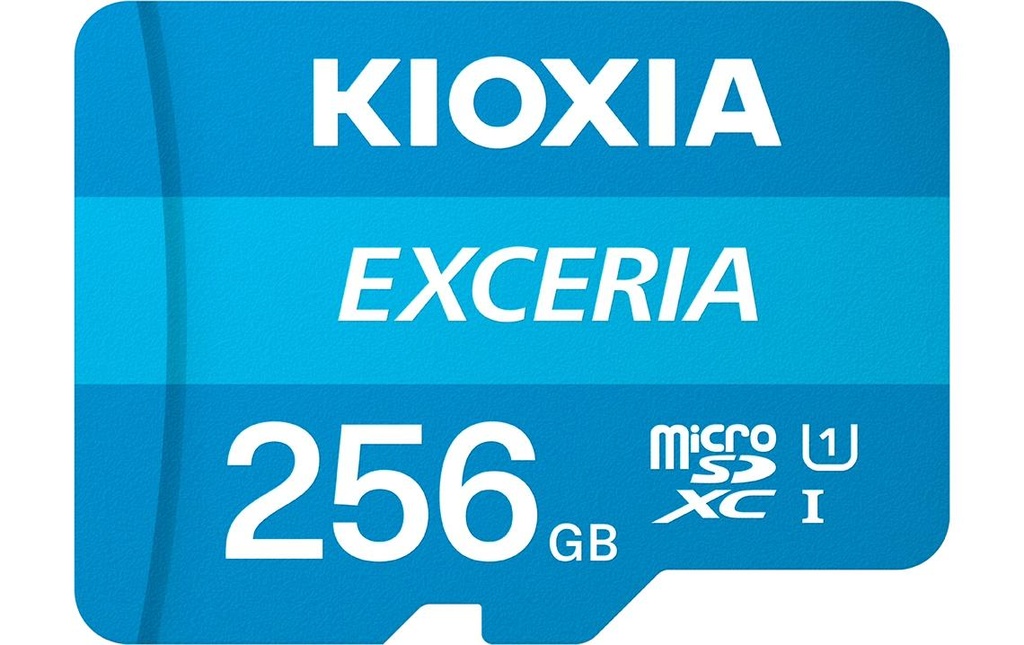 Kioxia Carte microSDXC Exceria 256 GB