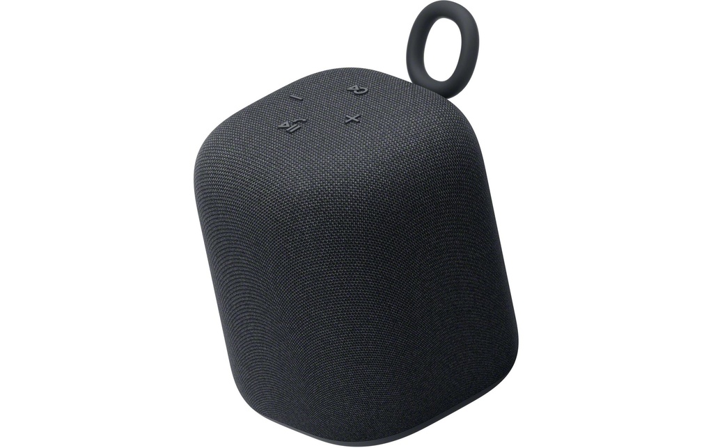 Sony Haut-parleur Bluetooth LinkBuds Noir