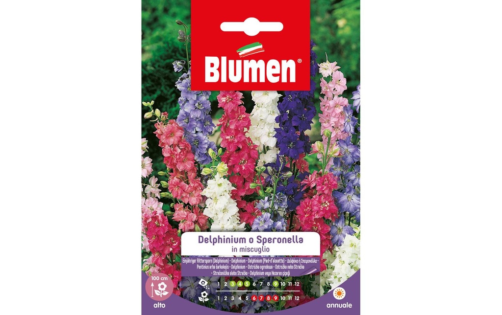 Blumen Semence Pied d'alouette annuel Mix