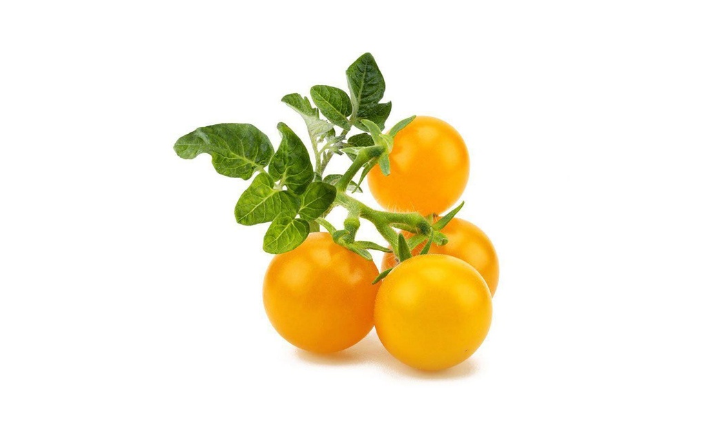 Click and Grow Semence Tomates cerises jaunes