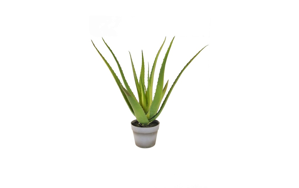 Botanic-Haus Plante artificielle Aloès en pot 50 cm