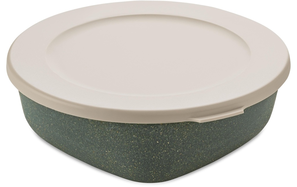 Koziol Boîte à provisions Connect 1.3 l, Gris