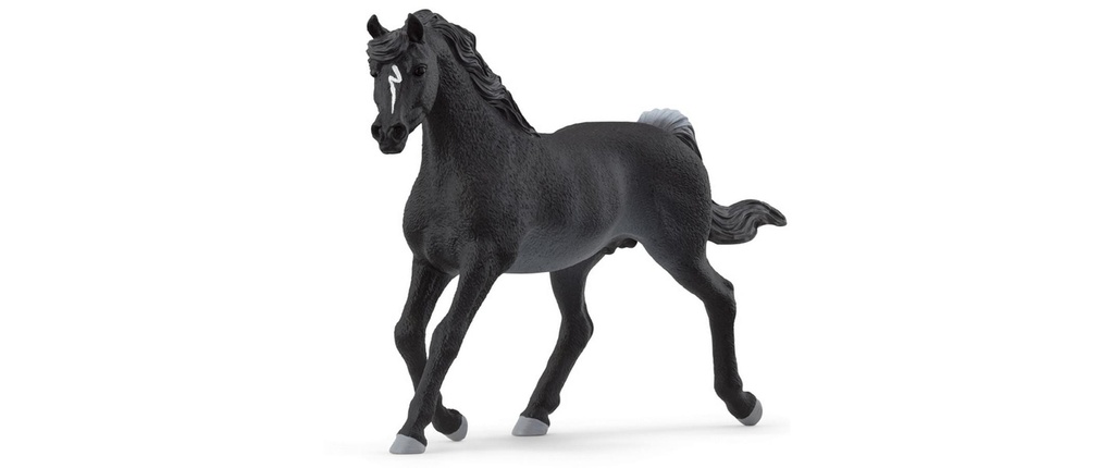 Schleich Figurine de jeu Horse Club Étalon arabe