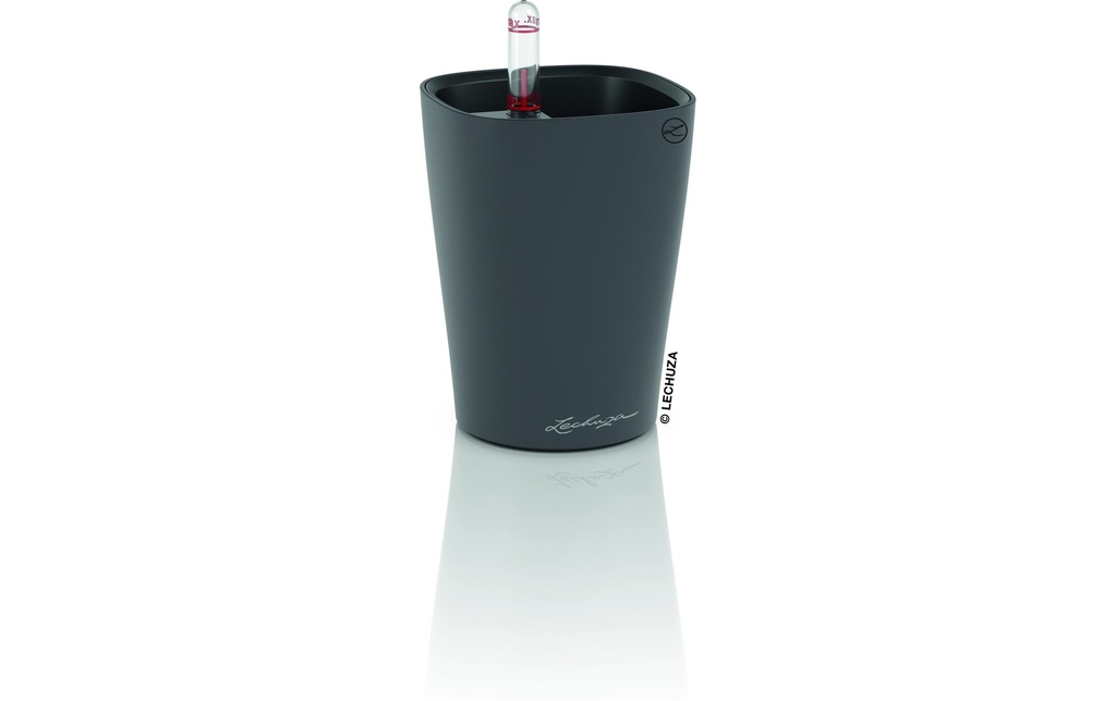 Lechuza Set per l'irrigazione MINI DELTINI Noir