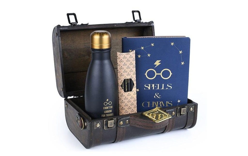 Pyramid Coffret cadeau Harry Potter Trouble Finds Me