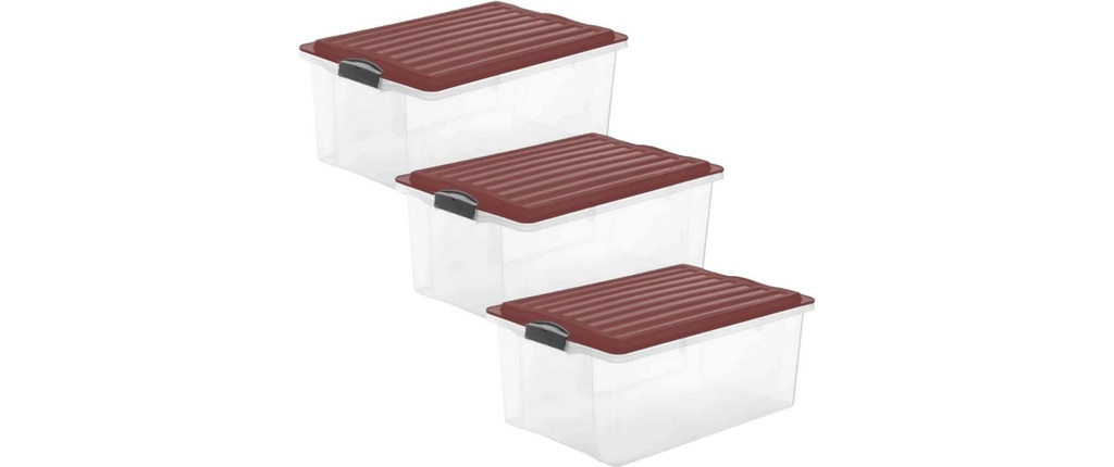 Rotho Boîte de rangement COMPACT, Rouge, 3 pcs.