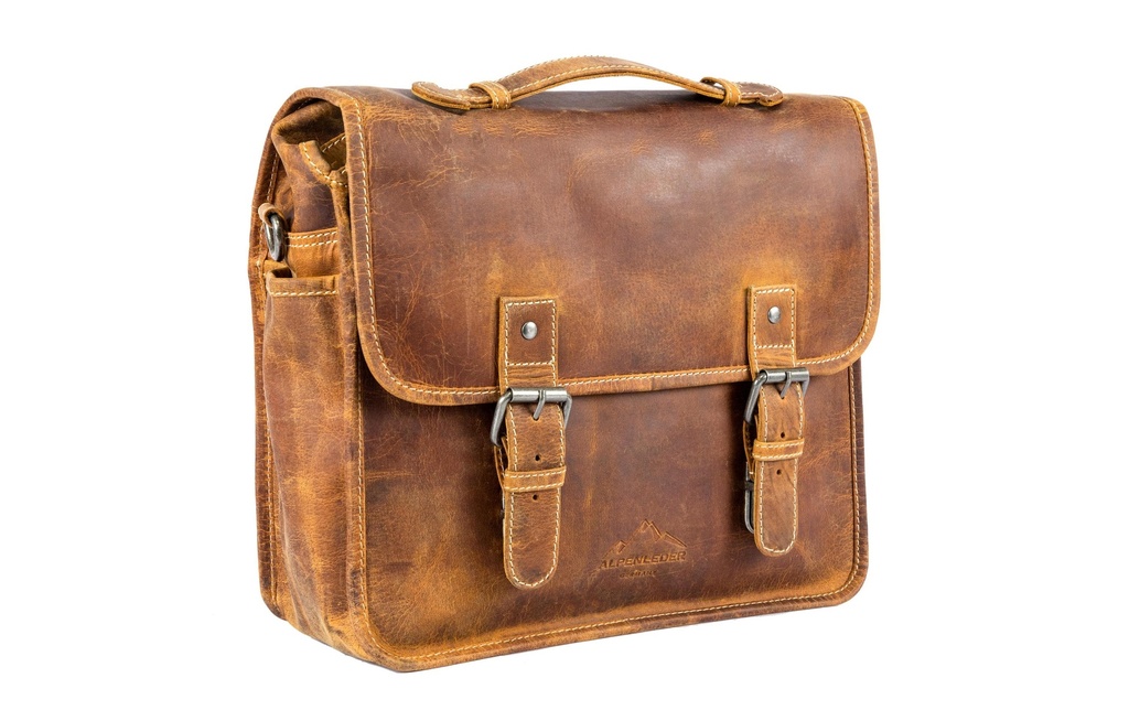 Alpenleder Sacoche pour caméra Reporter Beige