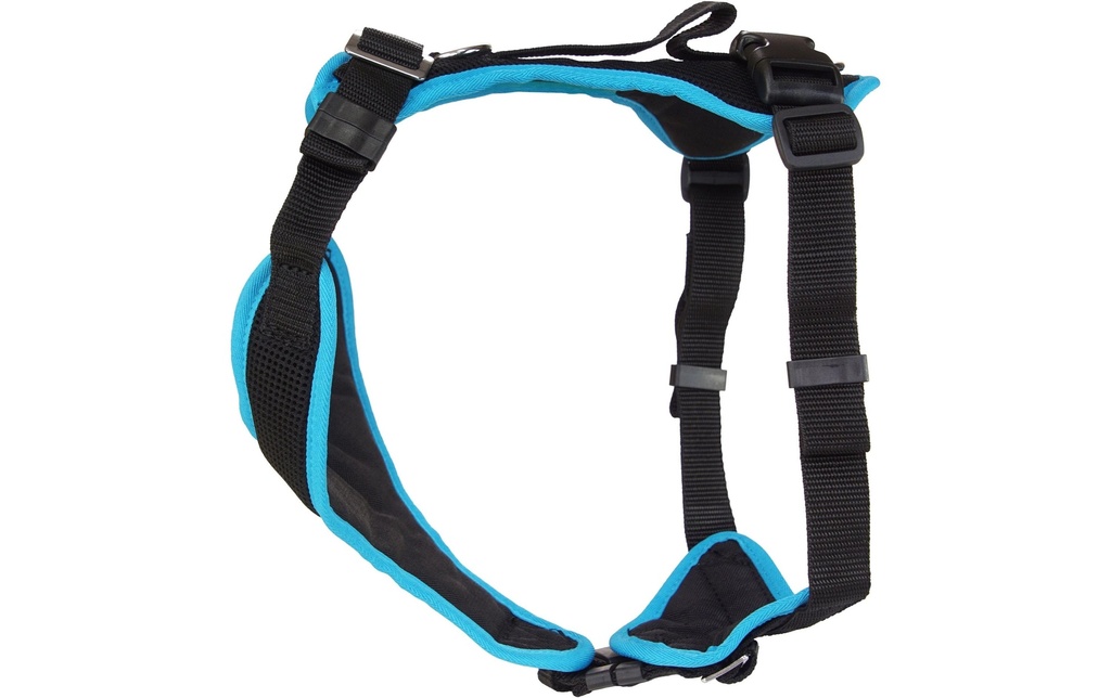 Grossenbacher Harnais pour chiot Popp-it, Turquoise