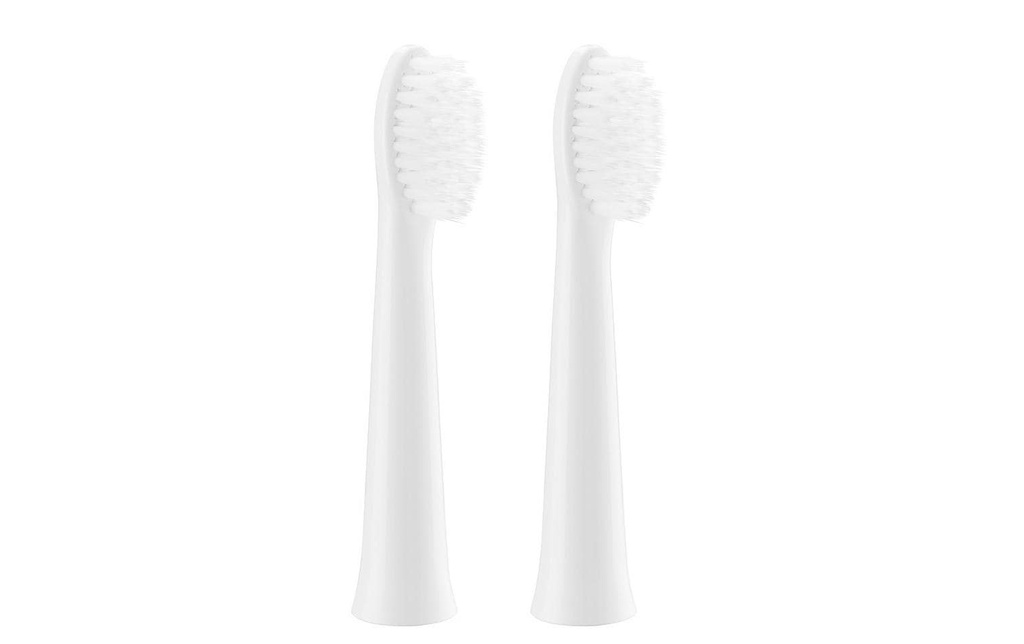Panasonic Tête de brosse à dents WEW0972W503 2 Pièce/s