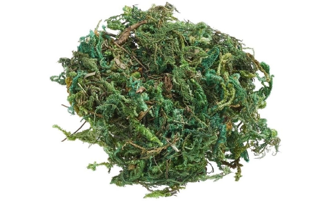 HobbyFun Mini ustensiles Moss 20g, Vert clair