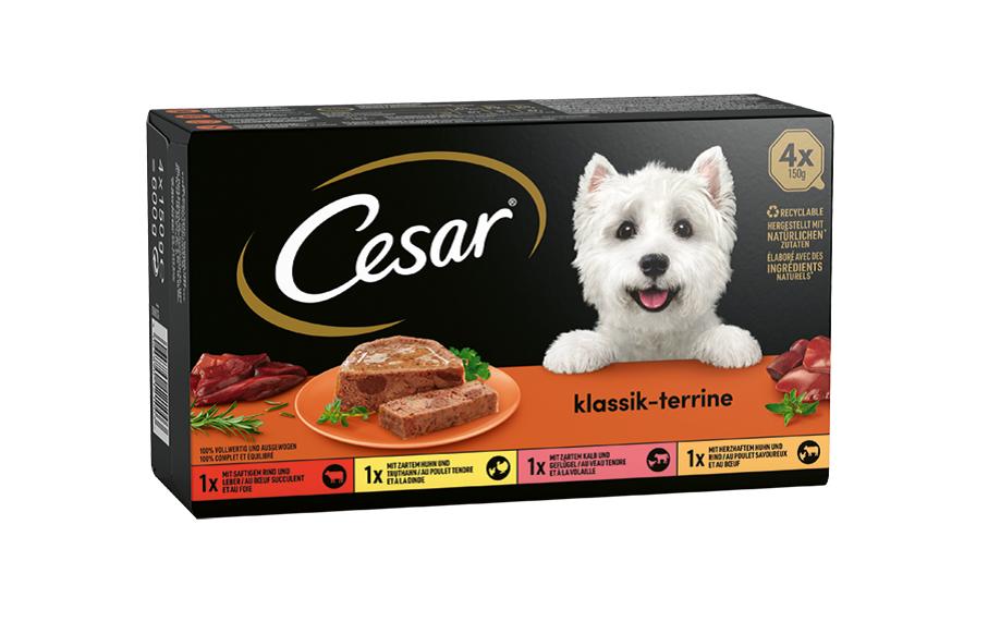 Cesar Alimentation humide Terrine classique Barquette 4 x 150 g