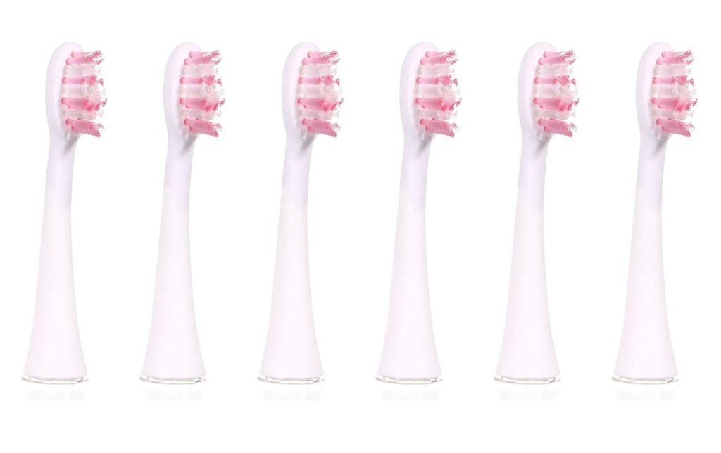 Ailoria Tête de brosse à dents Shine Bright Weiss, 6 Pièce/s