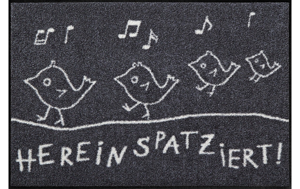 Salonlöwe Tapis de sol Hereinspatziert 50 cm x 75 cm