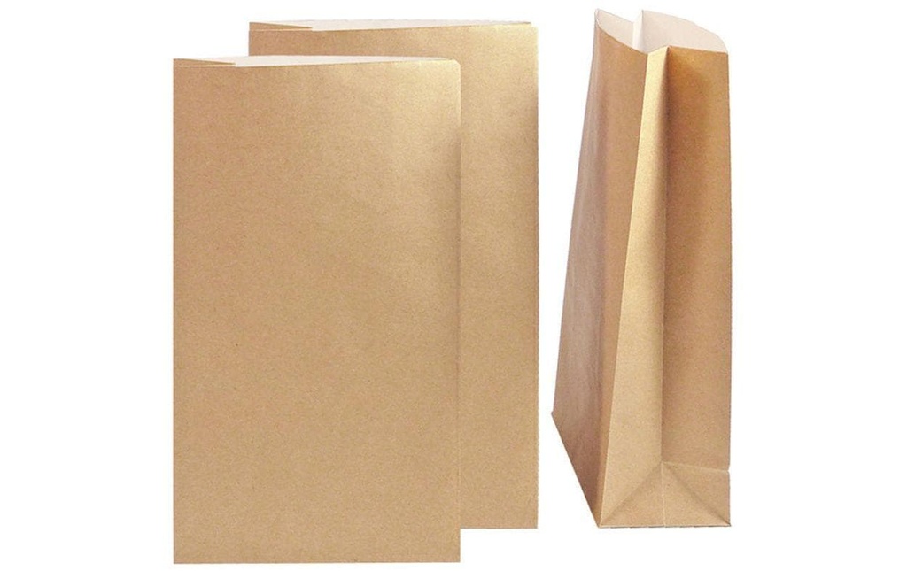 Braun + Company Sachet cadeau papier kraft 16 x 26 x 8 cm