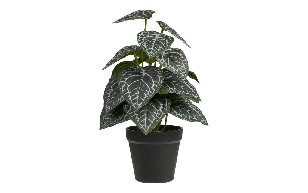 House Nordic Plante artificielle 33 cm