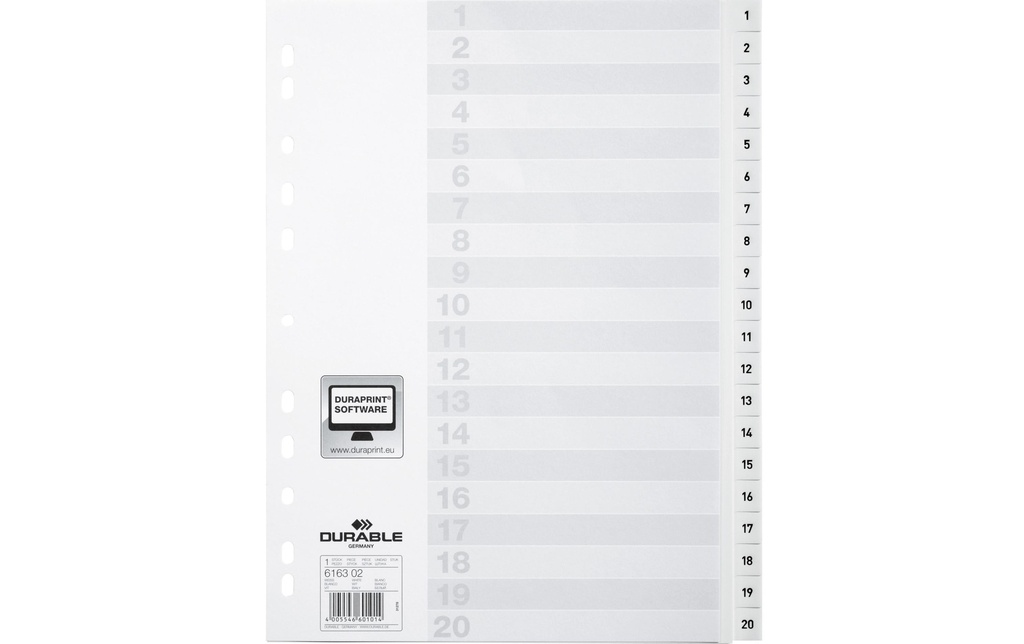 DURABLE Registre A4 1-20, avec feuille d'index