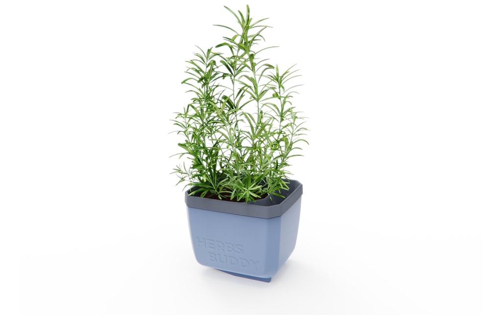 Gusta Garden HERBS BUDDY Pot d'herbes aromatiques Bleu