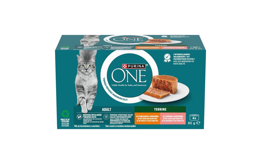 Purina ONE Alimentation humide Terrine Adult au poulet et au saumon 4 x 85 g