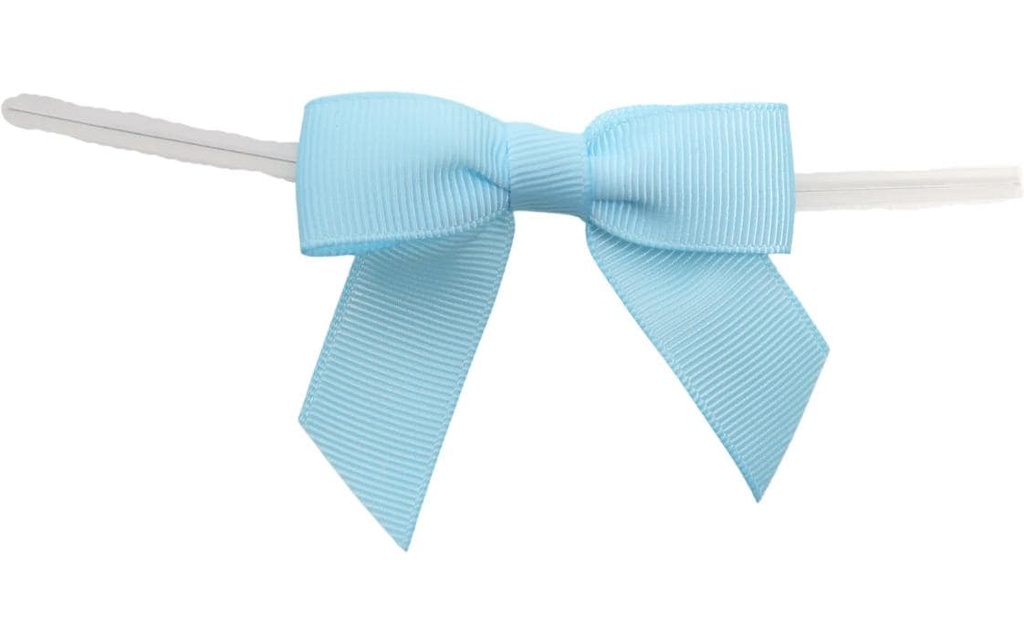 BackshopSchweiz Fermeture avec boucle Bleu clair, 10 pièces
