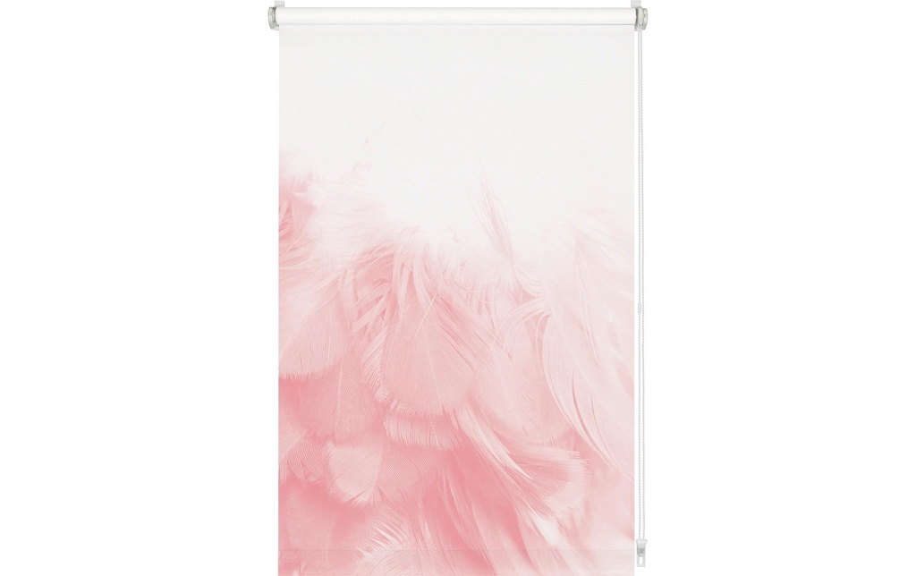 Gardinia EF Store plume boa 60 x 150 cm, Rose/Blanc