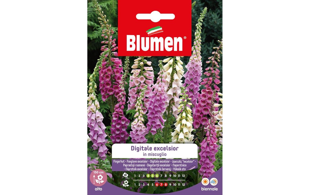 Blumen Semence Digitale Excelsior Mix