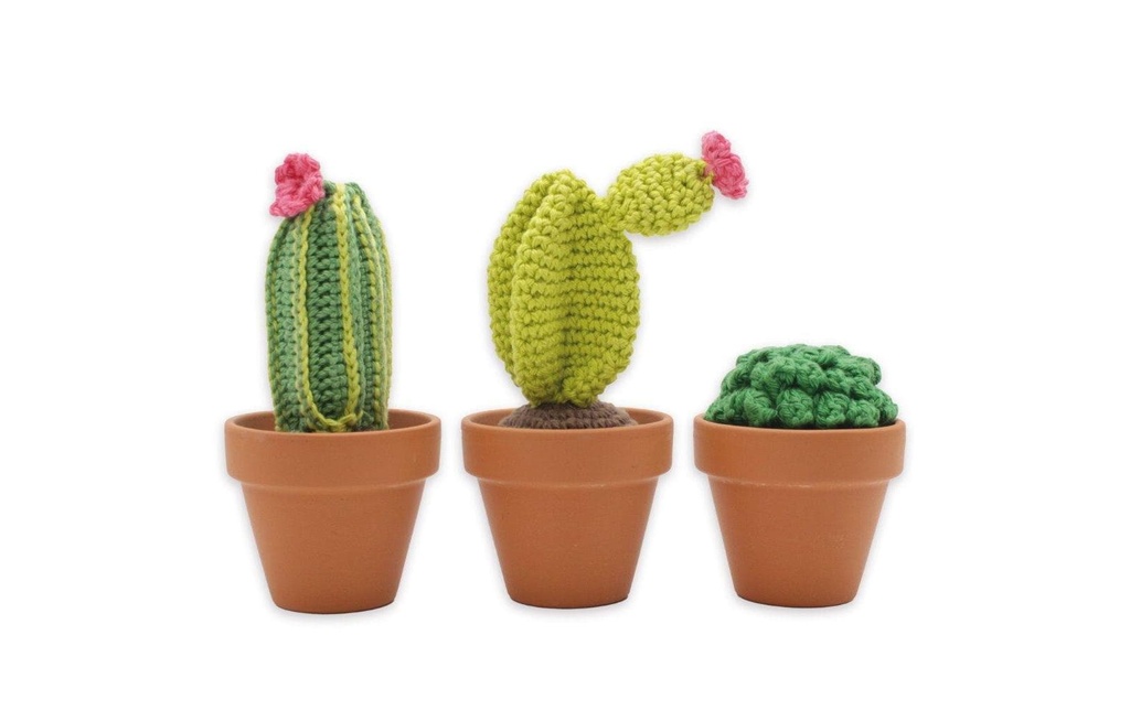 Hardicraft Kit de crochet Cactus 7 - 13 cm
