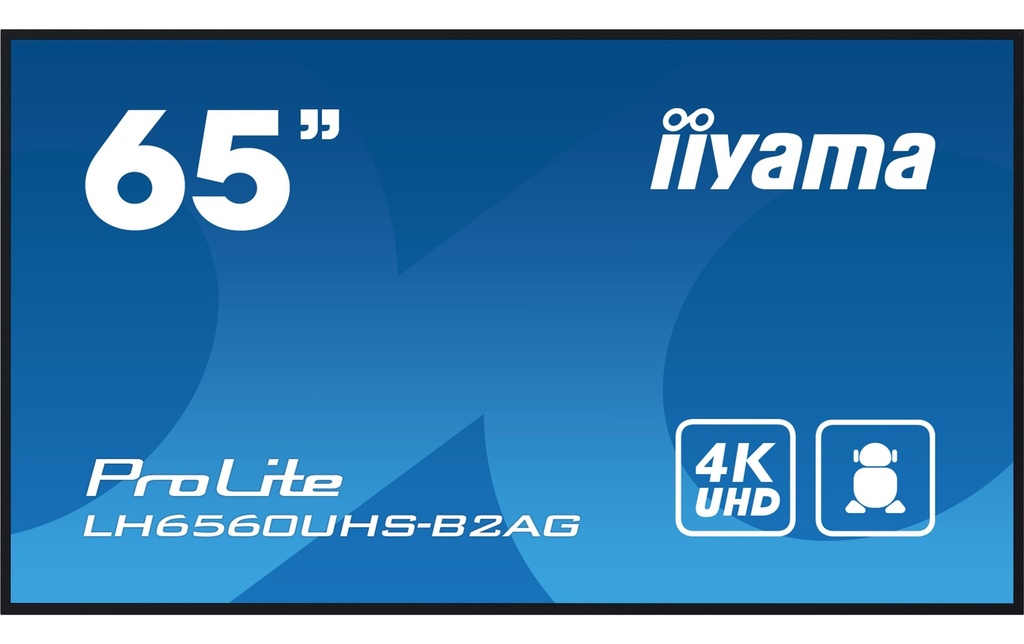 iiyama Ecran Public ProLite LH6560UHS-B2AG 65