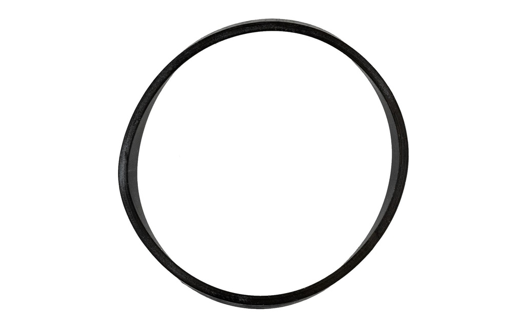 BISSELL Joint torique Bissell Belt – Pompe avec Ins Pièce de rechange