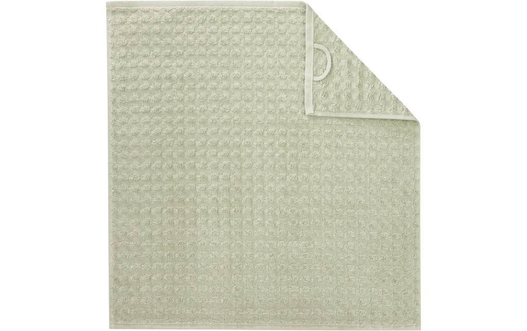 Cawö Torchon pour la vaisselle Uni Pro 50 x 50 cm, Wasabi